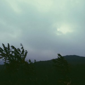 讨厌（翻自 芮恩）