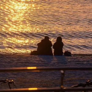 陪你看花开花落