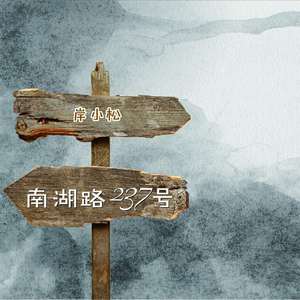 春风沉醉的晚上