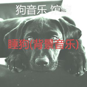 神奇-睡觉的小狗