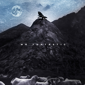 Mr. Fantastic