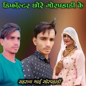 Difaulter Chhore Goraphadi Ke (feat. Sahrun Khan Mewati)