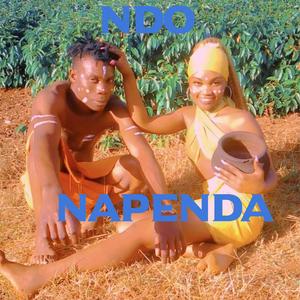Ndo Napenda