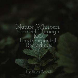 Solitude's Spiraling Song