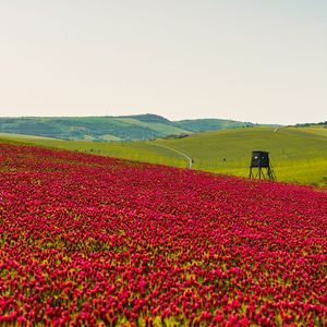 最爱的人不是你