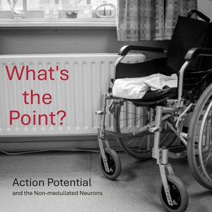 What's the Point?