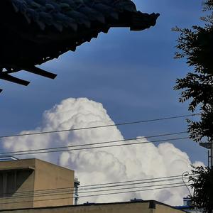 唯一