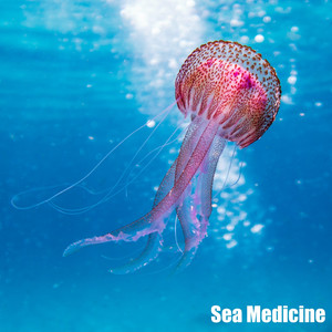 Sea Medicine for Nerves