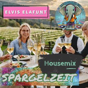 Spargelzeit (Housemix)