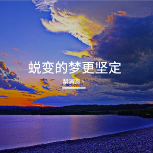 同行的路有暖阳