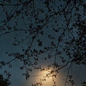 一无所有（prod by Eee.T）