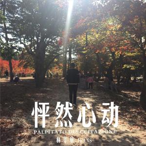 怦然心动 (伴奏)