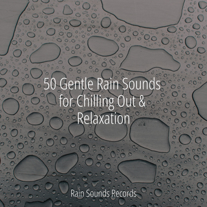 Rushing Melodies in Sunlit Fields