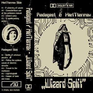 Riding the endless waves of electric circuits