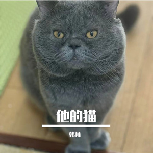 她的猫