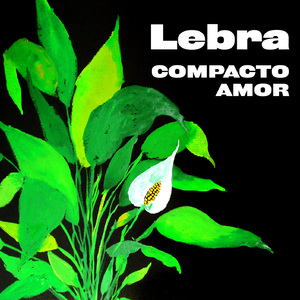 Compacto Amor