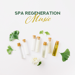 Secret of Night Forest