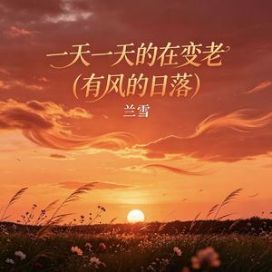 一天一天的在变老（有风的日落）