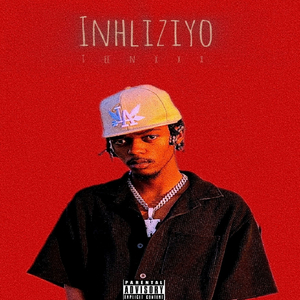 Inhliziyo