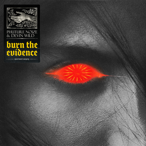 Burn The Evidence