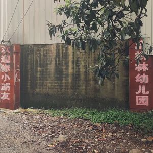 麻柳林(Prod.by Pieper Beats)
