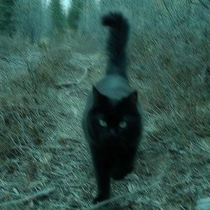 Right My Wrongs (feat. NSG TEO)