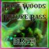 ElmyX - Lost Woods x Future Bass