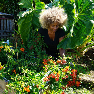 Dèmin péké kon jodi