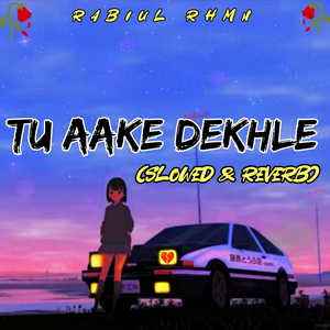 Tu Aake Dekhle (slowed & reverb)