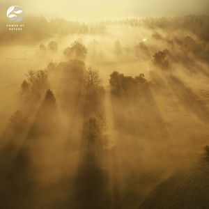 Divine Serenade of the Cosmos