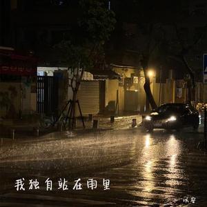 我独自站在雨里