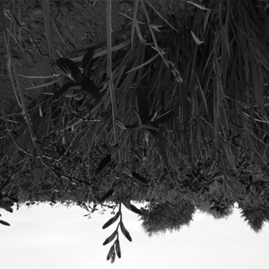 8 - The parting gift / Keep moving forward