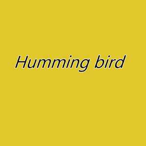Humming bird