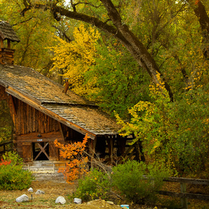 我没有家也找不到过年的家