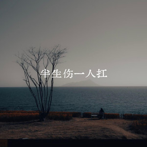 半生伤一人扛