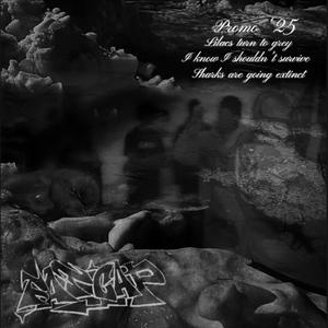 I Know I Shouldn't Survive