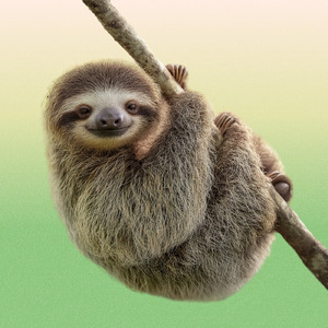 ヒーリング-自律神経を整える- (雨音)