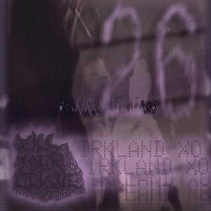 Kirkland XO (feat. mw1 & wallaceville)