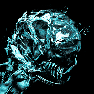 Let's Make Plans (DJ Python's Shimmering Fade Remix)