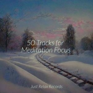 Whispers of Tranquil Tides