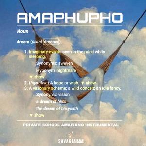Amaphupho (Private School Amapiano Instrumental)
