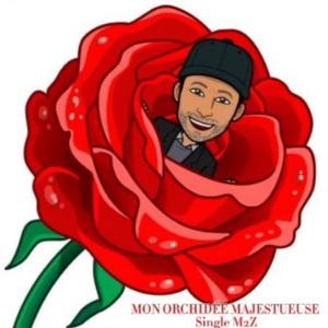Mon Orchidée Majestueuse