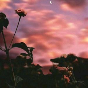 大家一起喜羊羊