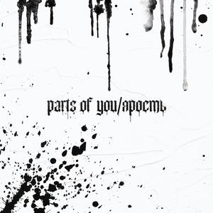 Ярость