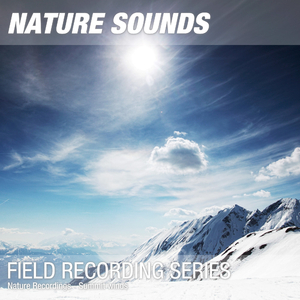 Nature Sounds for Sleep, Relaxation & Meditation (Summit, winds) 03