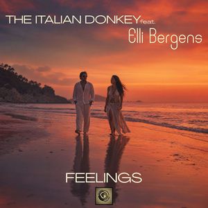 Feelings (Radio Mix)