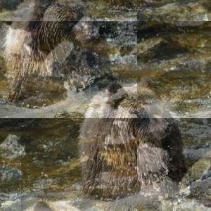 Suspiciousness