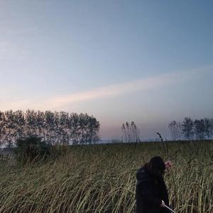 没有理想的人不伤心