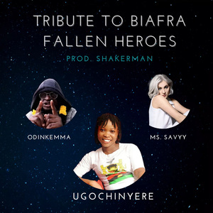 Tribute To Biafra Fallen Heroes