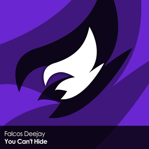 You Can't Hide (Original Mix)